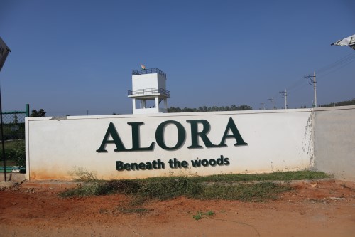 Alora woods